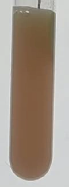 Thumbnail of 1k_050_2