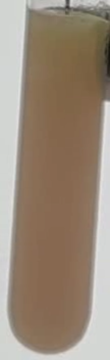 Thumbnail of 5k_050_1