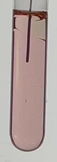 Thumbnail of nor_PDMS collection